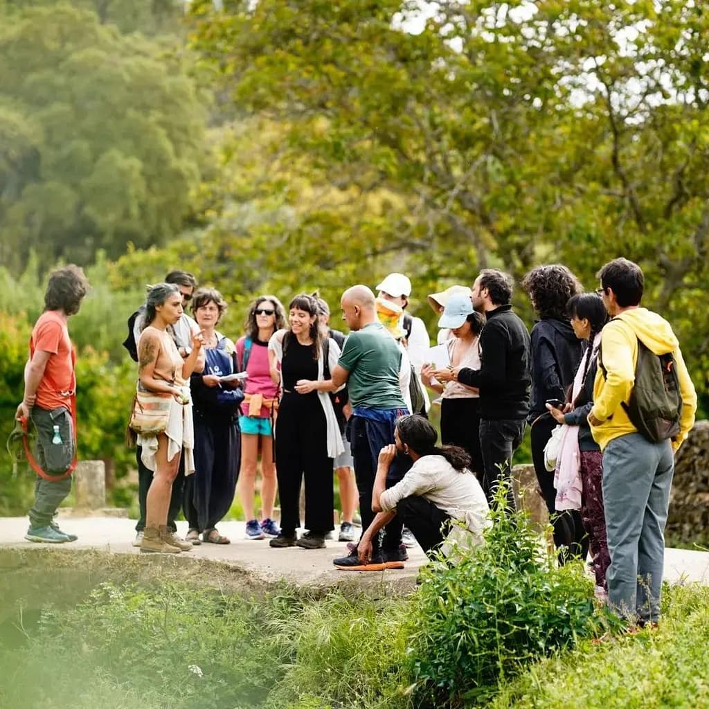Passeios de reconhecimento de plantas com a Joana Vitória, A mulher que trabalha no bosque - Herbalismo