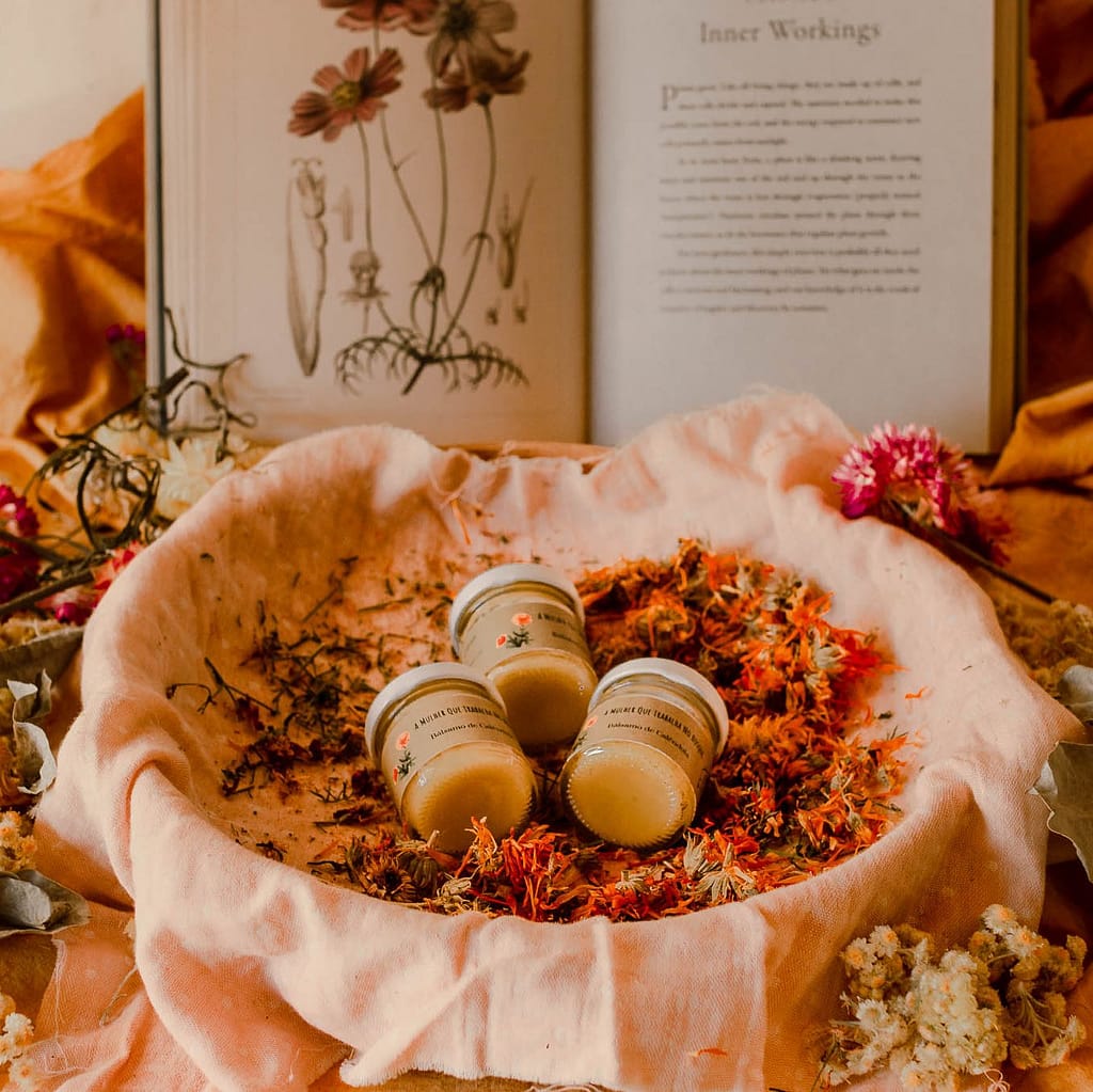produtos de cosmética natural, a mulher que trabalha no bosque