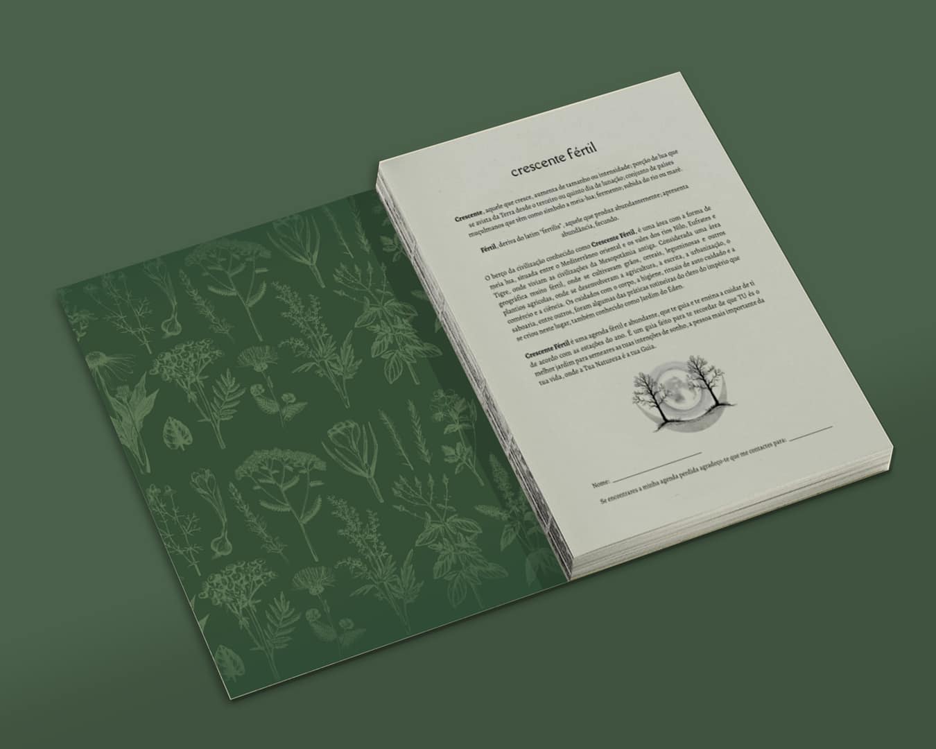 PRÉ - VENDA Agenda Crescente Fértil 2026 - agenda lunar herbal para o mundo mais bonito que podemos imaginar - Image 5