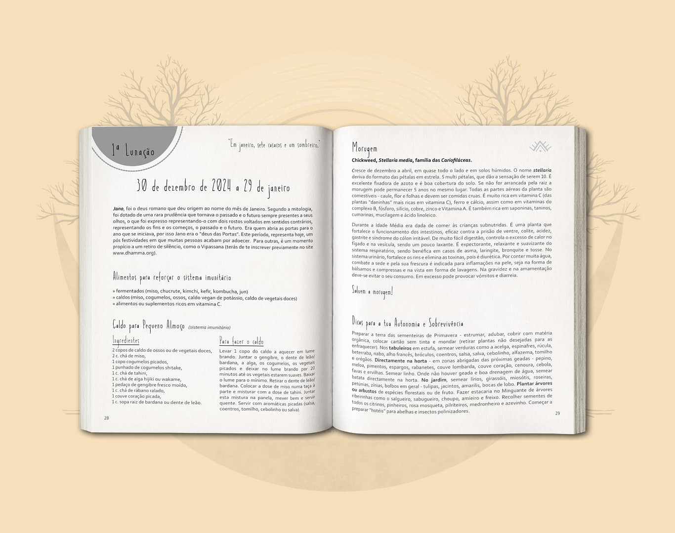 Agenda Lunar Crescente Fértil 2025 - Image 3