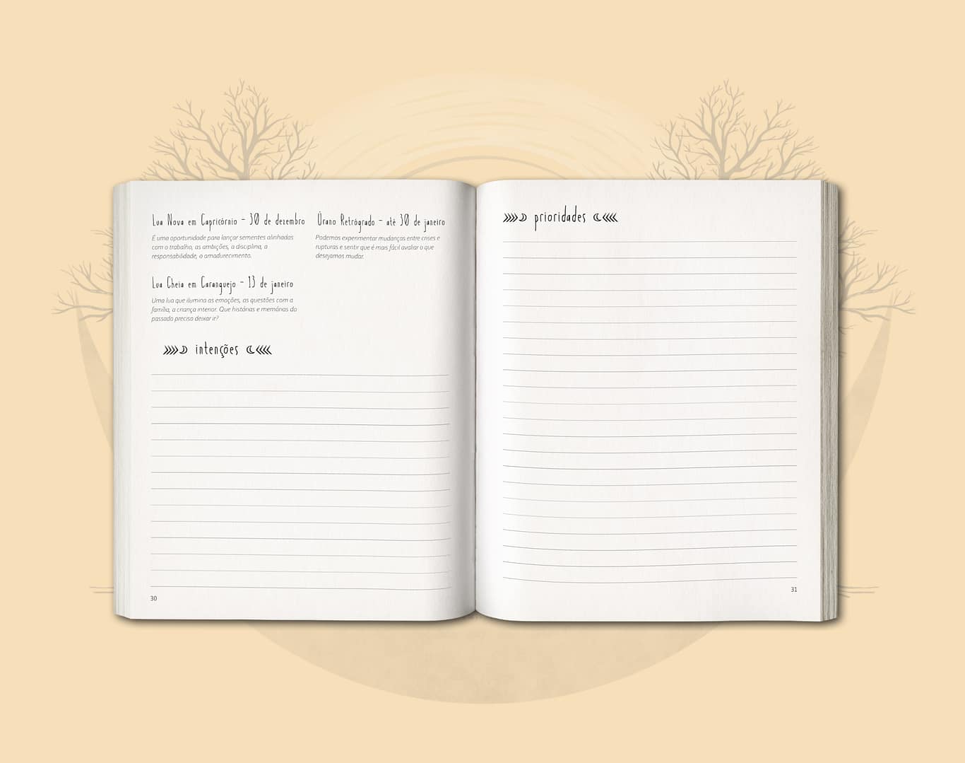 Agenda Lunar Crescente Fértil 2025 - Image 5