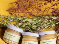 Pomada Cicatrizante e para Picadas de Insectos