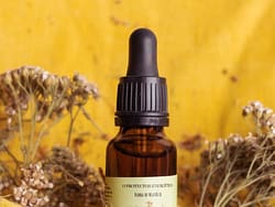 Floral de Milefólio - O Protector Energético