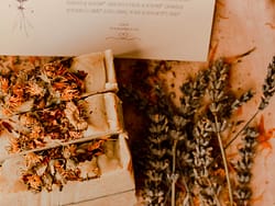 Sabonete e Champô Flora Doce