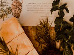 Sabonete e Champô Fresco Pinhal