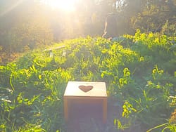 Fogo de Vénus - Banco de Vaporização do Útero