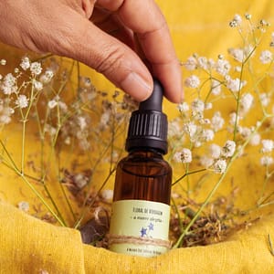 Floral de Borragem - A Suave Alegria